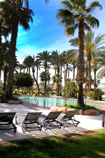 Hotel Alicante Golf - Alicante - 8