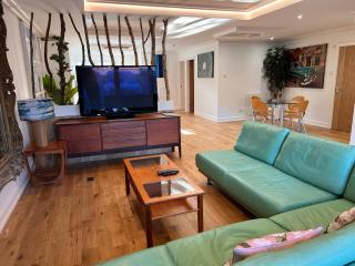 Lux Light Spacious- Chilterns Pass the Keys - Amersham - 9