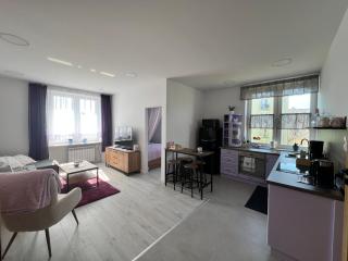 Apartament Lawendowy - Skarżysko-Kamienna - 5