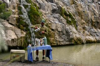 The Springbok Lodge - 1