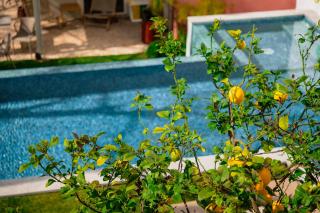 Jardim da Lapa by Shiadu - Lisbon - 0