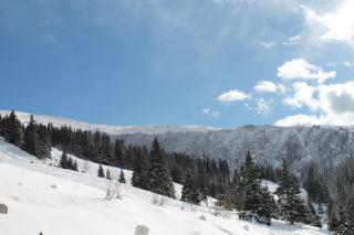 Feriendorf Koralpe Chalet Bergglocke - 7