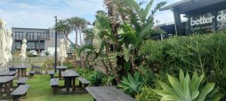 Seal Point apartment - Cape St Francis - 8