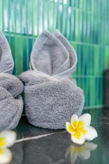 Peaceful villa,surrounded nature - Ubud - 6