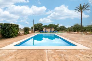 Finca Sant Blai Nou - Campos - 9