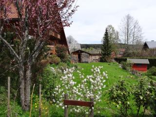 Ferienwohnung Mattenweg 1a - Hinterzarten - 8