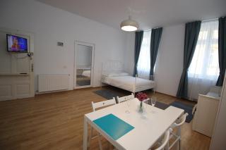 Under Tampa Grand Studio - Braşov - 6
