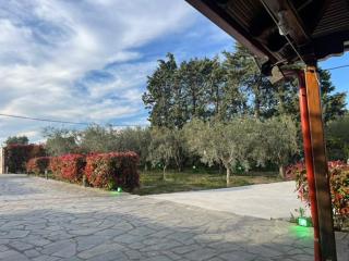Narcis House - Tesalónica - 8