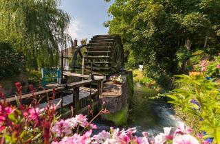 Les pieds dans l'eau - Veules-les-Roses - 6