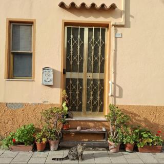 Casa Scirocco Sardegna - San Vito - 5