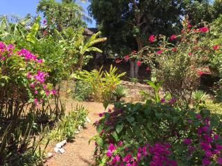 Bellevue sous les cocotiers - Ambondrona - 8