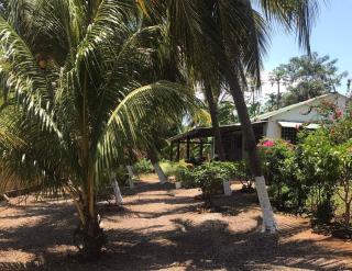 Bellevue sous les cocotiers - Ambondrona - 2