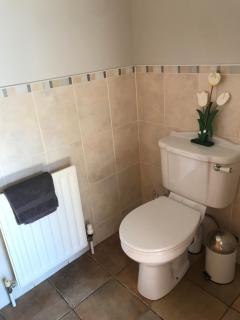 Country Cottage - Available for The Open Portrush 2025 - - 1