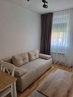 Apartman Mijic Zlatibor - Zlatibor - 3