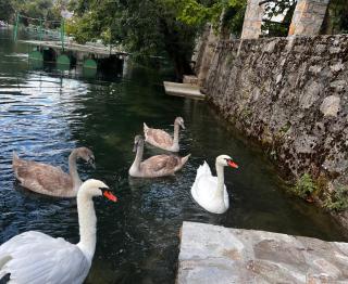 Odmor uz Trebišnjicu - Trebinje - 7