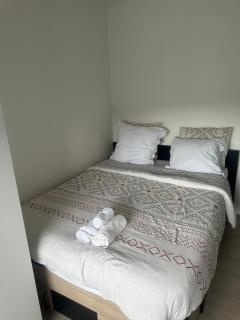 Appart de 5 chambres sur Nancy - Nancy - 3
