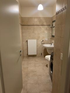 Apartament Debussy - Timişoara - 3