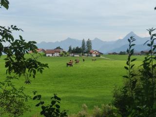 Pension Weißer Hirsch - Füssen - 2