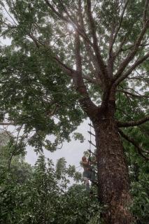 Kandahena Mansion - 9