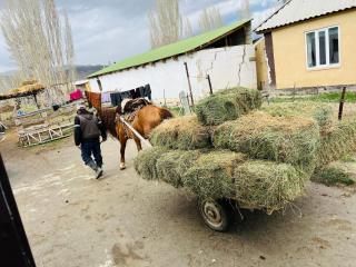 Oroz Guest House - 1