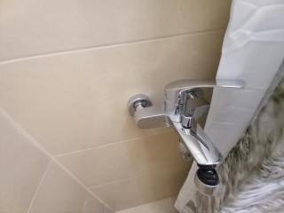 Sarajevo apartman Ilidza Springs parking free - Sarajevo - 3