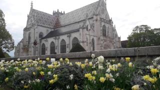 Suite Constance - Bourg-en-Bresse - 7