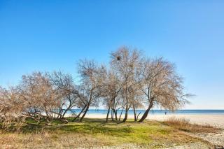 Apartament Eden by ALZ - Mamaia Nord – Năvodari - 9