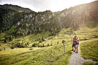 Almliesl VIEH-715 - 1