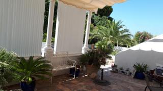 Palm tree villa - Torrox - 7