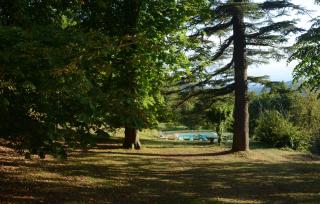 Montesoro, hystoric country villa with swimming pool, sorrounded by nature - Sassello - 9