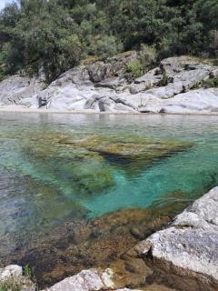 Chambre d'Hôte dans MAS proche Anduze Cévennes avec piscine - Mialet - 5