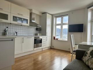 Stay Outlook - Best view in Bergen - Bergen - 4