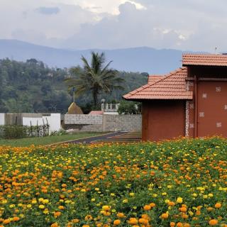 Mana Gramam Resort Mudumalai - Mudumalai National Park - 9