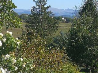 La appartement des rosiers - Barriac-les-Bosquets - 2
