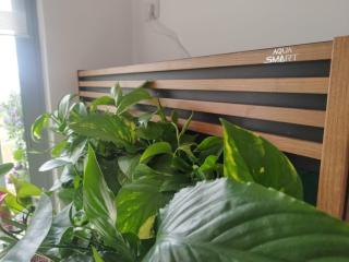 Sea View Garden Spot - Durazzo - 2