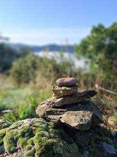 Chambre d'Hôte dans MAS proche Anduze Cévennes avec piscine - Mialet - 3