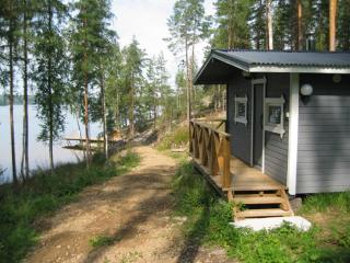 Kallio-Orava Villa with jacuzzi - - 4