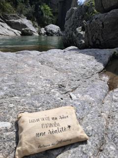 Chambre d'Hôte dans MAS proche Anduze Cévennes avec piscine - Mialet - 9