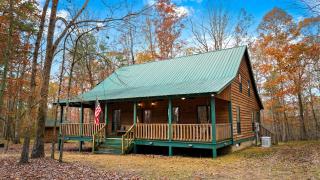 Cute Wooden Cabin Nestled Among Trees in Mentone, Alabama - Mentone - 0