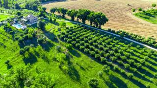 Luxury villa in Le Marche Casa Sant'Elia - 9