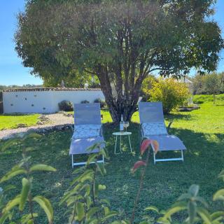 L'Herbe Pot - Salles - 8