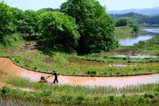 张家界大峡谷迴音森林乡村民宿 - 2