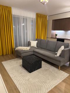 ABE Apartment - Craiova - 7