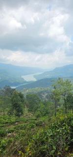 GladWin Holiday Rental - 4