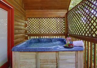 Pet friendly, king bedrooms, smart TVs, pool table, theater room, and hot tub! - Sevierville - 7