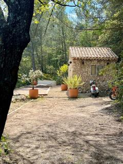 Le Cabanon des Morilles - Meyreuil - 0