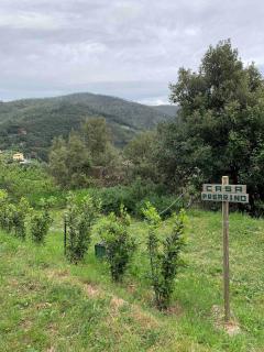 Quiet and Cozy home with Wi-Fi CASA PREARINO - Vernazza - 7
