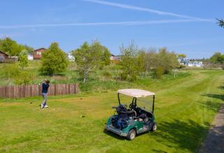 Percy Wood Country Park - Swarland - 5