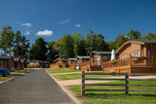 Percy Wood Country Park - 4