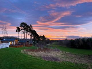 Percy Wood Country Park - Swarland - 7